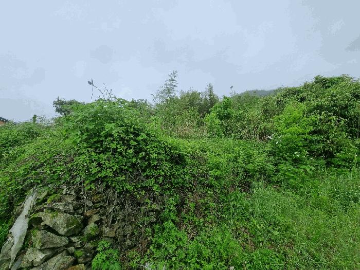 전라남도 고흥군 점암면 대룡리 486 대지 경매 사진 3