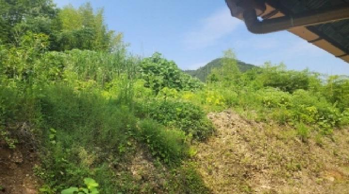 전라남도 고흥군 점암면 대룡리 486 대지 경매 사진 6