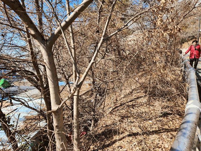 경상남도 진주시 금산면 장사리 918-16 임야 경매 사진 4