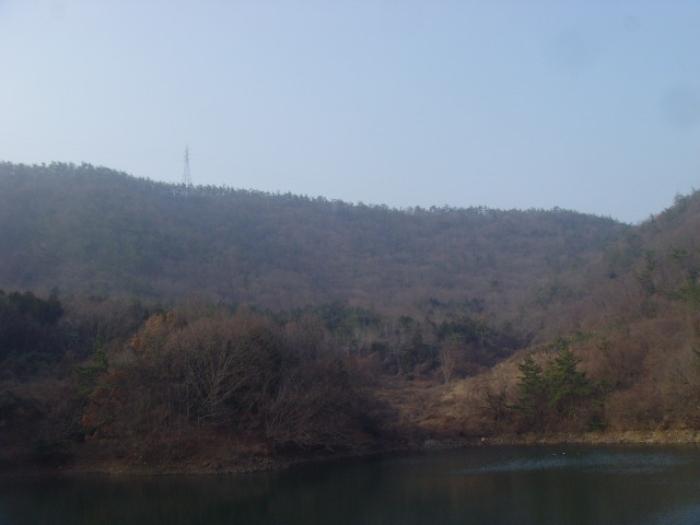 전라남도 해남군 화원면 영호리 175-1 전 경매 사진 10