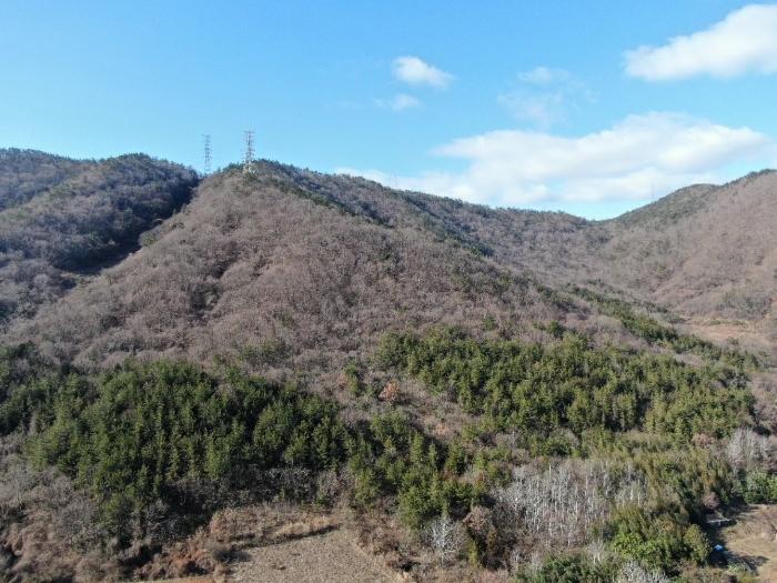 전라남도 해남군 화원면 영호리 175-1 전 경매 사진 4