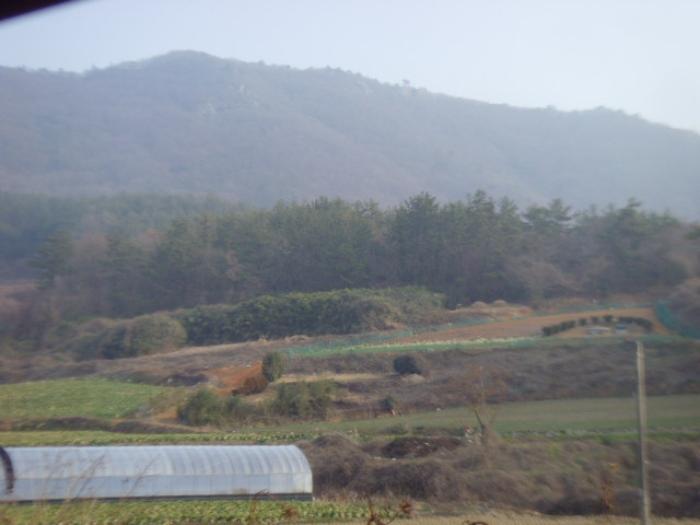 전라남도 해남군 화원면 영호리 175-1 전 경매 사진 5
