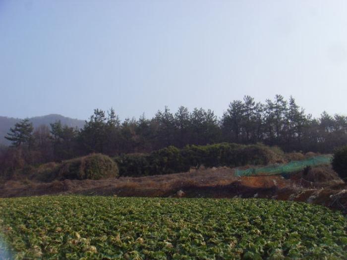 전라남도 해남군 화원면 영호리 175-1 전 경매 사진 6