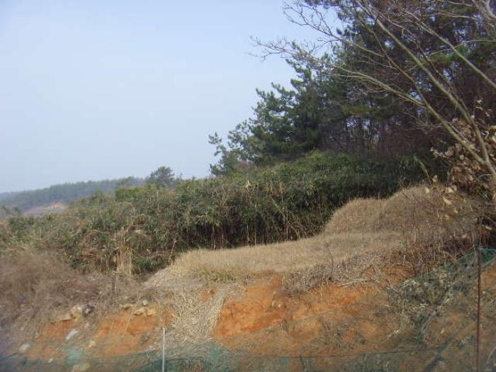 전라남도 해남군 화원면 영호리 175-1 전 경매 사진 7