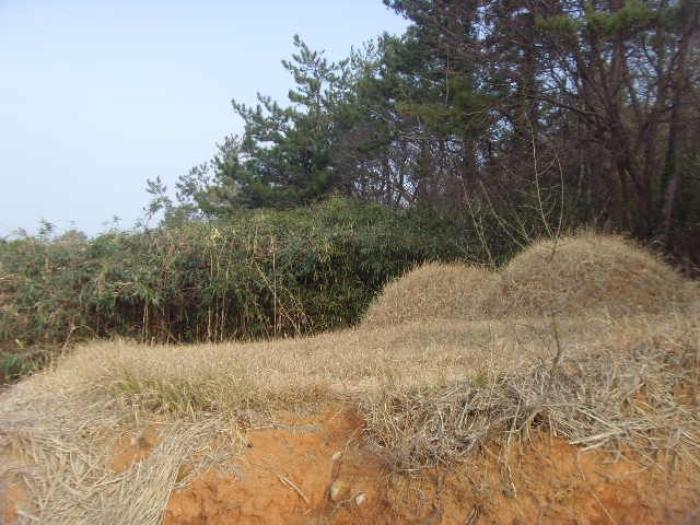 전라남도 해남군 화원면 영호리 175-1 전 경매 사진 8