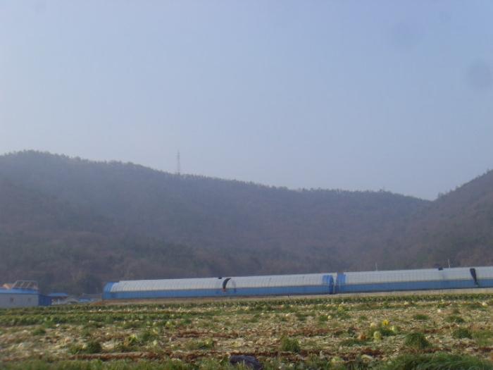전라남도 해남군 화원면 영호리 175-1 전 경매 사진 9
