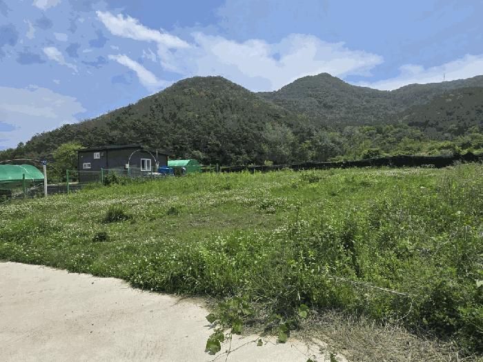 경상남도 밀양시 상남면 연금리 1463 전 경매 사진 1