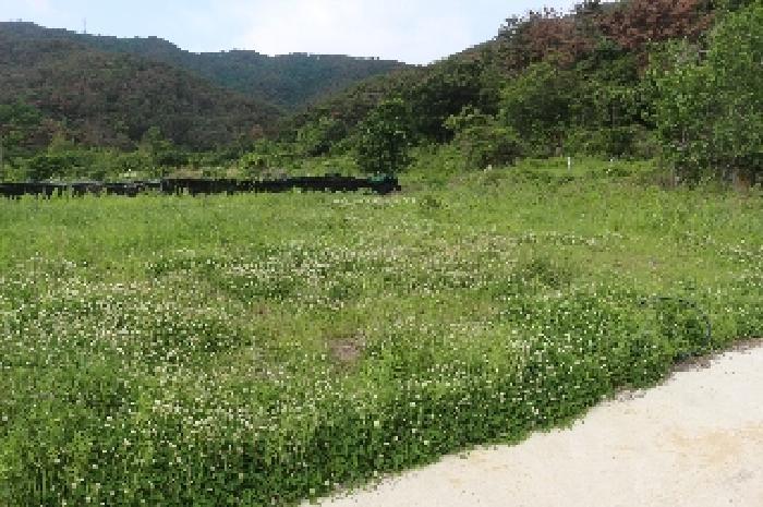 경상남도 밀양시 상남면 연금리 1463 전 경매 사진 10