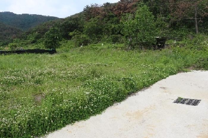 경상남도 밀양시 상남면 연금리 1463 전 경매 사진 11
