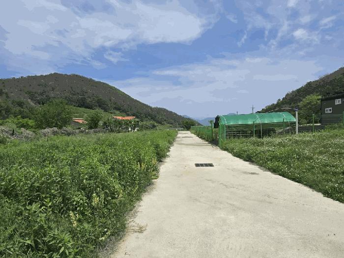 경상남도 밀양시 상남면 연금리 1463 전 경매 사진 2