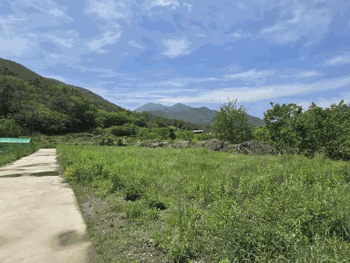 경상남도 밀양시 상남면 연금리 1463 전 경매 사진 3