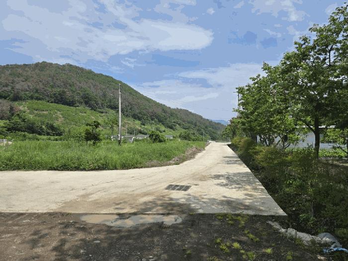 경상남도 밀양시 상남면 연금리 1463 전 경매 사진 4