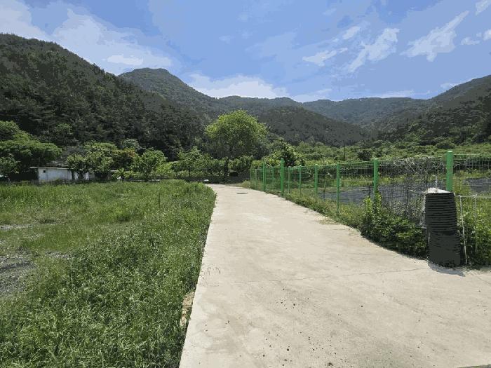 경상남도 밀양시 상남면 연금리 1463 전 경매 사진 5