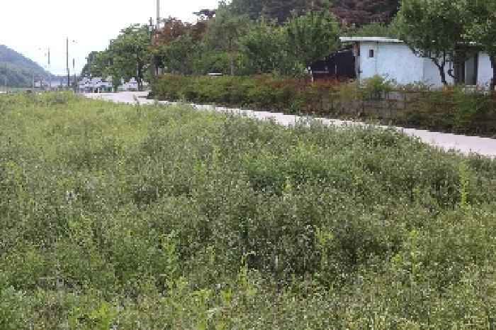 경상남도 밀양시 상남면 연금리 1463 전 경매 사진 7