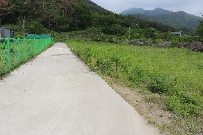 경상남도 밀양시 상남면 연금리 1463 전 경매 사진 8