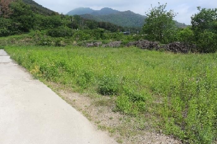 경상남도 밀양시 상남면 연금리 1463 전 경매 사진 9