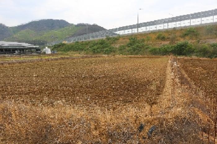 경상남도 밀양시 무안면 정곡리 614 전 경매 사진 13