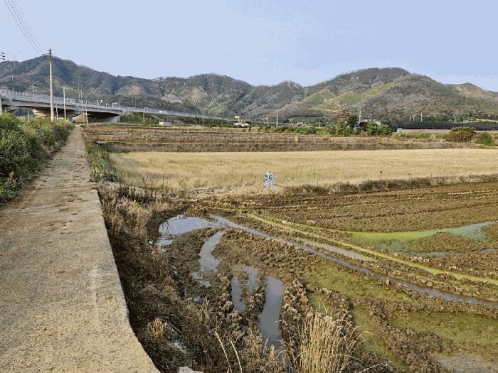 경상남도 밀양시 무안면 정곡리 614 전 경매 사진 3