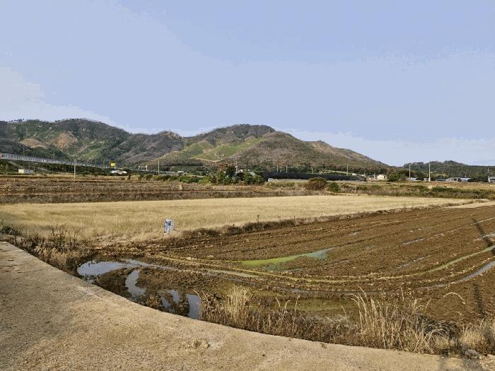 경상남도 밀양시 무안면 정곡리 614 전 경매 사진 5