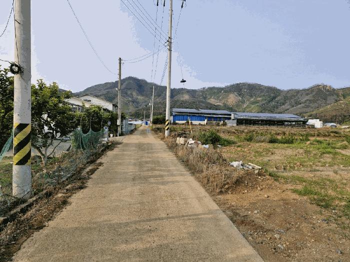 경상남도 밀양시 무안면 정곡리 614 전 경매 사진 8