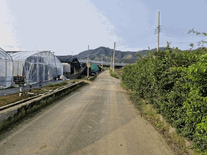 경상남도 밀양시 부북면 운전리 10-7 답 경매 사진 11