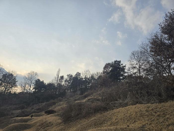 경상북도 안동시 서후면 광평리 63 전 경매 사진 3