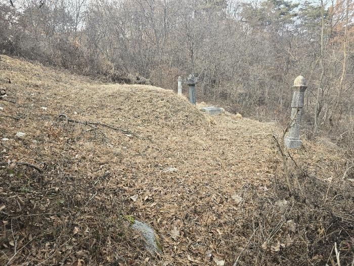 경상북도 안동시 서후면 광평리 63 전 경매 사진 4