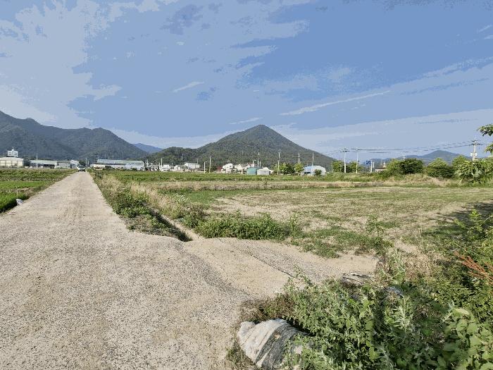 경상남도 창녕군 유어면 선소리 669-6 전 경매 사진 2