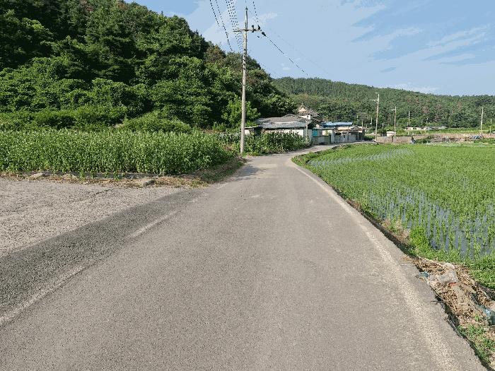 경상남도 창녕군 유어면 선소리 669-6 전 경매 사진 5