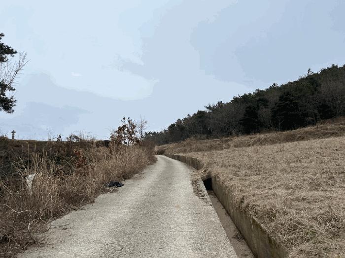 전라남도 진도군 지산면 길은리 51 전 경매 사진 3