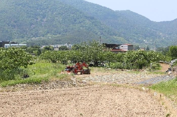 경상남도 밀양시 청도면 인산리 988 전 경매 사진 10