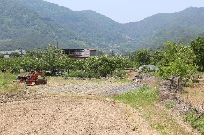 경상남도 밀양시 청도면 인산리 988 전 경매 사진 11
