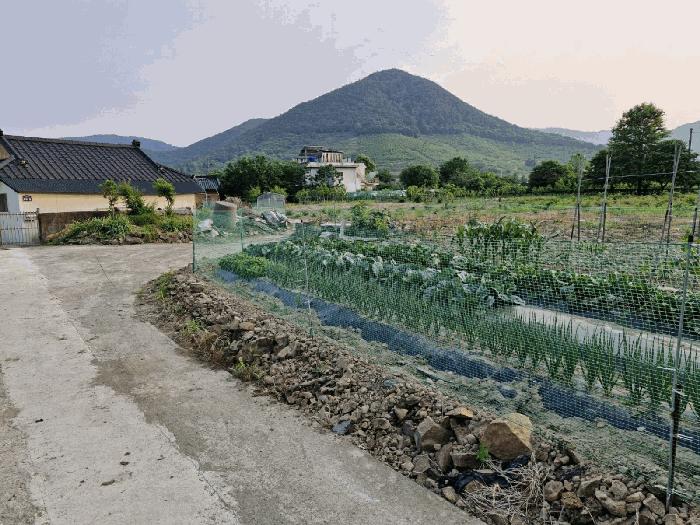 경상남도 밀양시 청도면 인산리 988 전 경매 사진 4