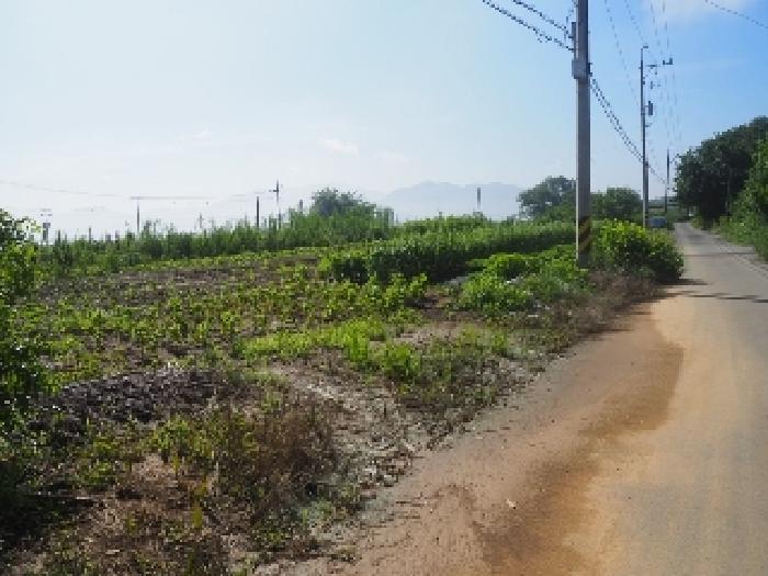 경상남도 밀양시 상남면 동산리 314-3 전 경매 사진 7