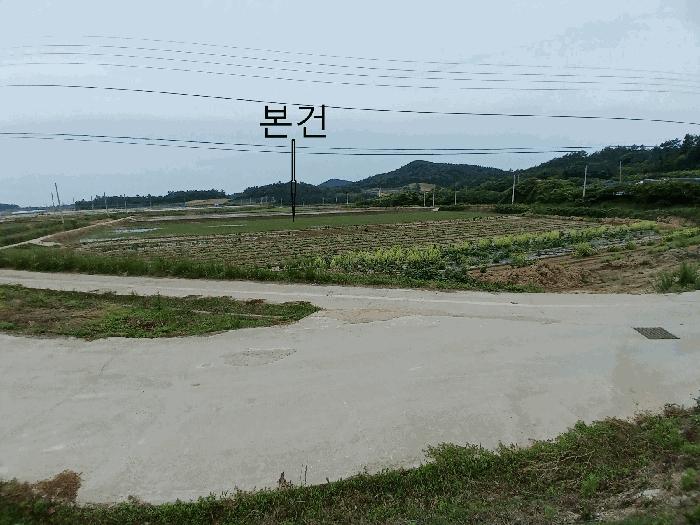 전라남도 신안군 자은면 유각리 1206-6 답 경매 사진 2
