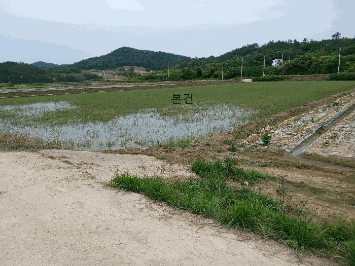 전라남도 신안군 자은면 유각리 1206-6 답 경매 사진 4