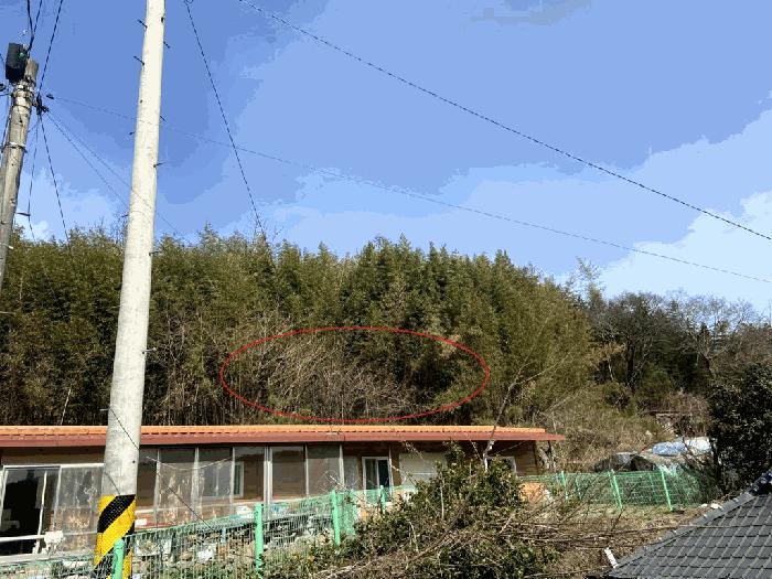 전라남도 함평군 전