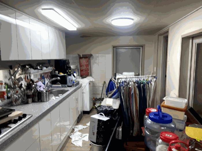 전라남도 함평군 손불면 궁산리 768 전 경매 사진 5