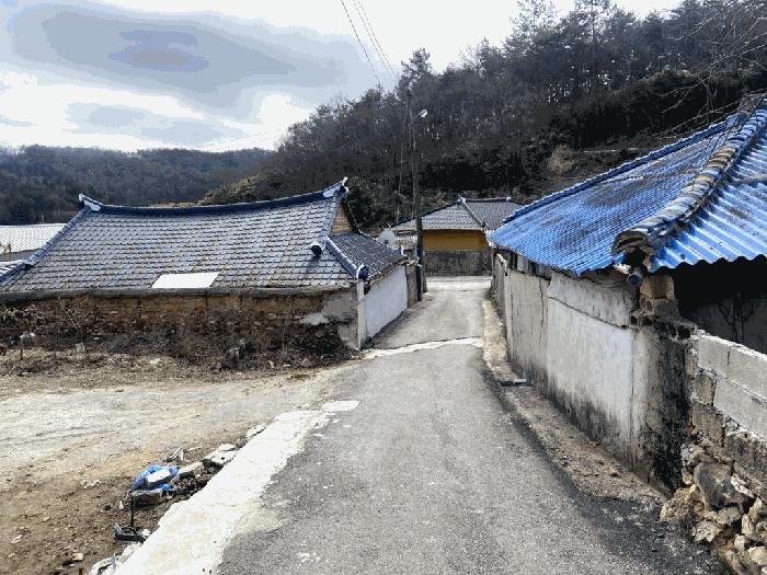전라남도 함평군 손불면 궁산리 768 전 경매 사진 7