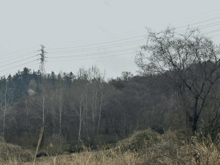 전라남도 무안군 삼향읍 용포리 산43-2 임야 경매 사진 4