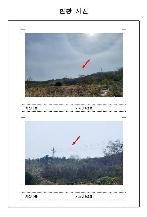 전라남도 무안군 삼향읍 용포리 산43-2 임야 경매 사진 5