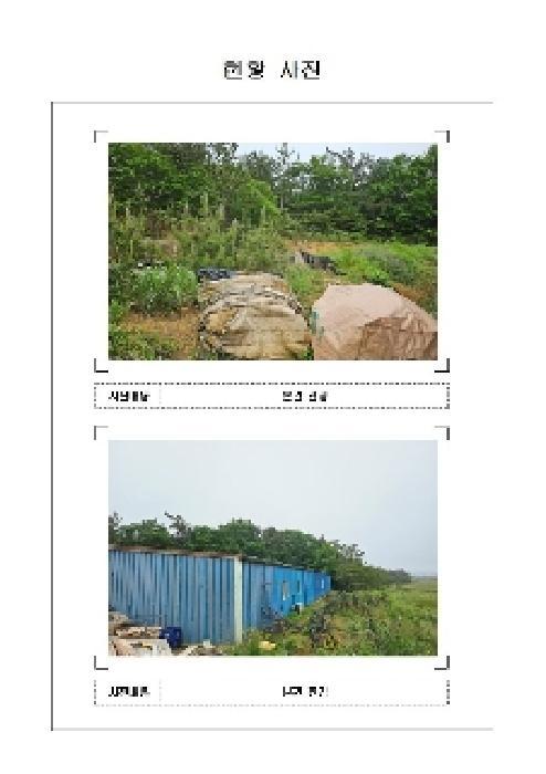 전라남도 신안군 지도읍 감정리 산496 임야 경매 사진 12