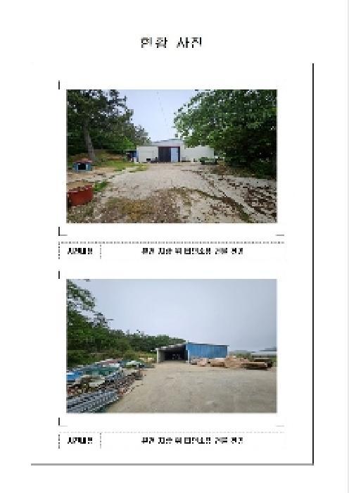 전라남도 신안군 지도읍 감정리 산496 임야 경매 사진 13