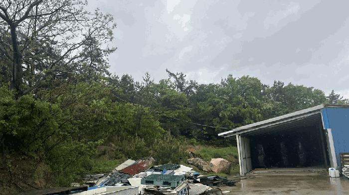 전라남도 신안군 지도읍 감정리 산496 임야 경매 사진 4