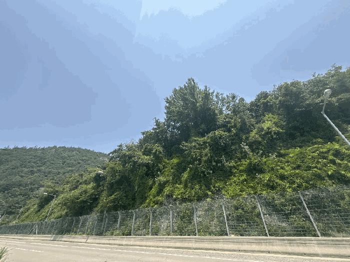 전라남도 영암군 임야