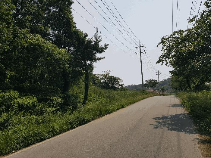 전라남도 무안군 해제면 산길리 산57-5 임야 경매 사진 3