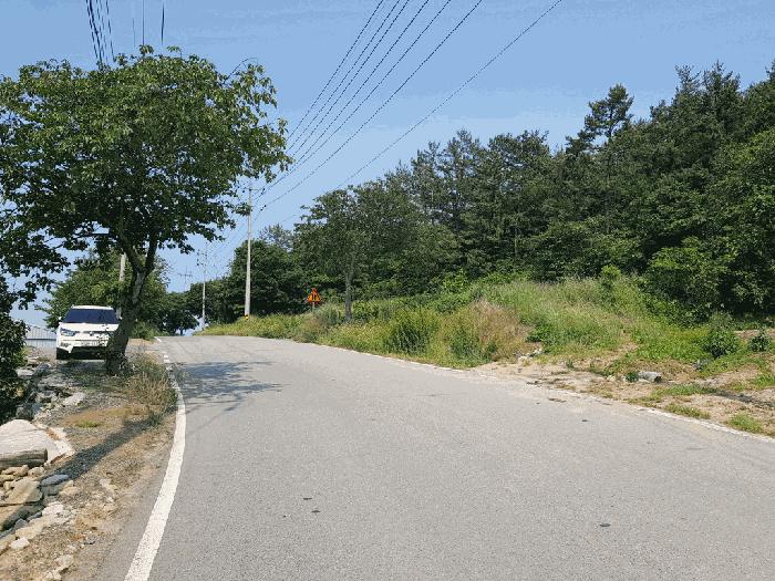 전라남도 무안군 해제면 산길리 산57-5 임야 경매 사진 6