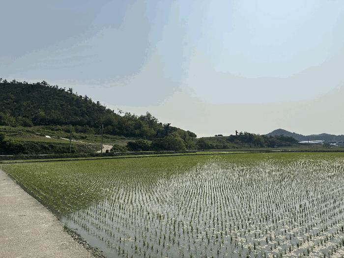 전라남도 신안군 임야