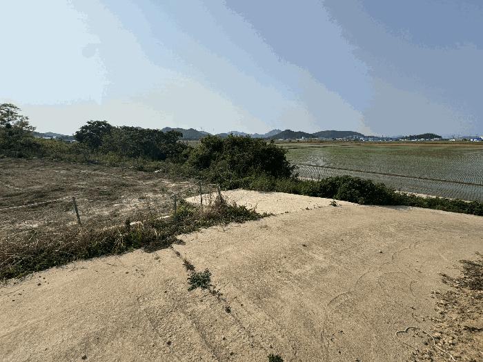 전라남도 신안군 도초면 지남리 산78 임야 경매 사진 3