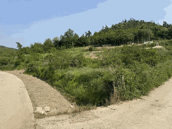 전라남도 신안군 도초면 지남리 산78 임야 경매 사진 4